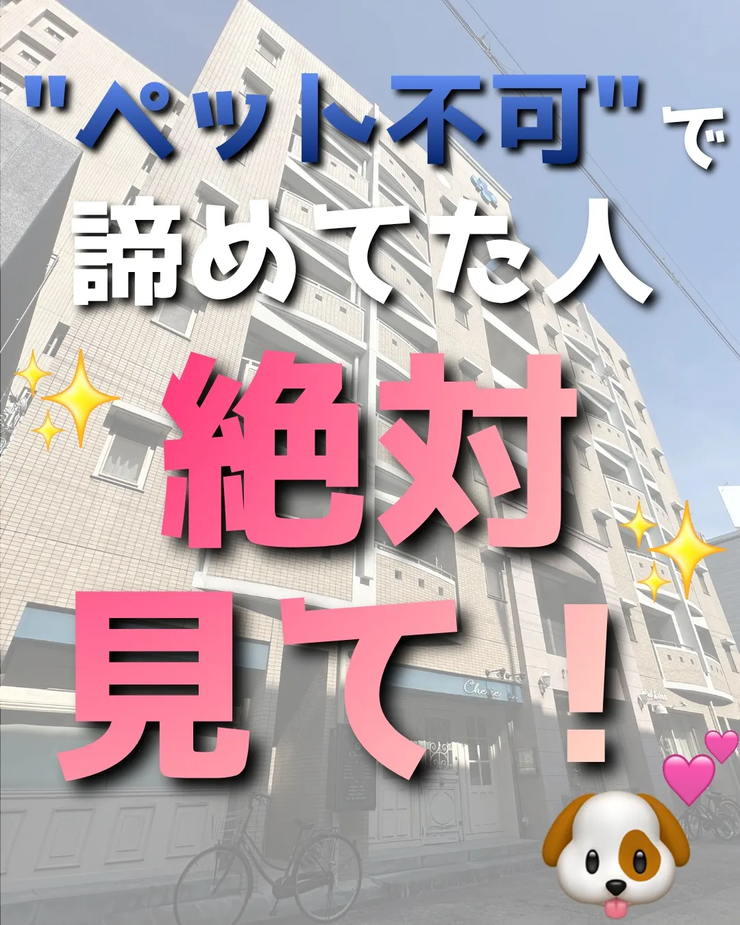 賃貸物件のご紹介💫